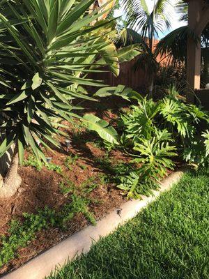 Garrity Tree & Landscape