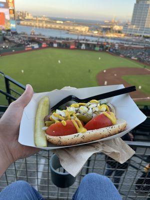 Chicago Dog