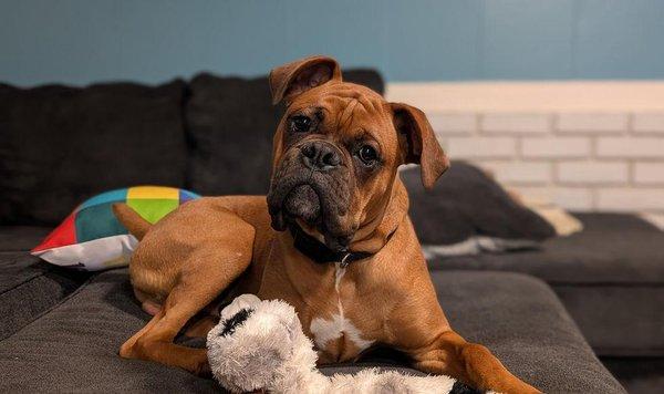 North Kitsap Veterinary Hospital