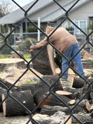 River Oaks Tree Service