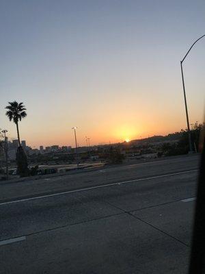 Hugo's Gardening Service