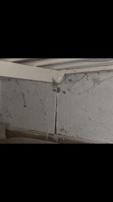 The Outermost Hostel