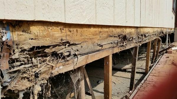 Sierra Termite Control