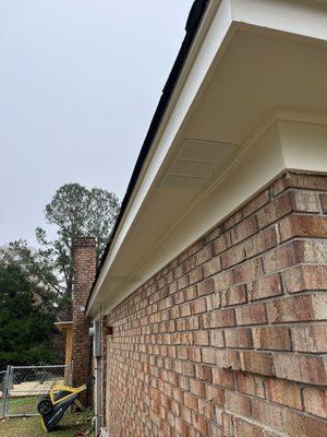 Facial soffit and vent