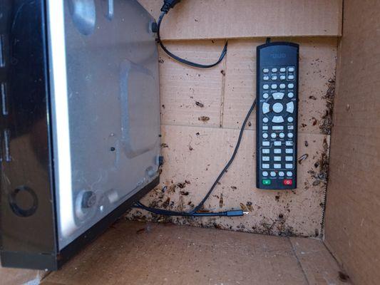 Los Compadres Apartments