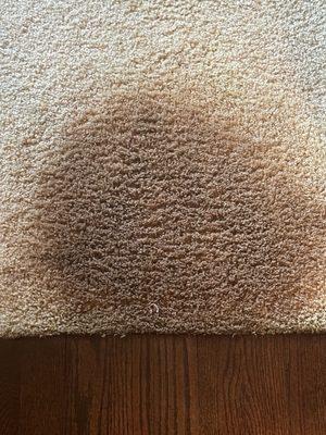 First Responders Carpet Cleaning