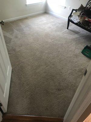 West & Co Cleaning Services