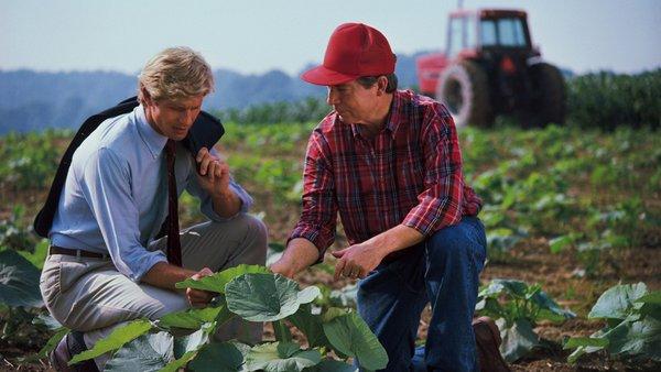 David Jones Insurance