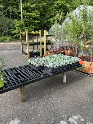 Lavale Farm and Flower Heaven