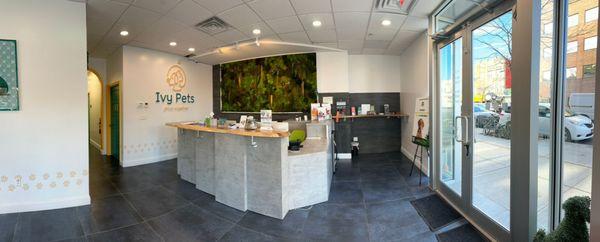 Our warm and welcoming reception area