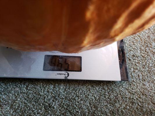 Foster City Islander