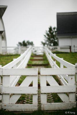 Kelsey Creek Farm Park