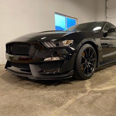 Maximum Auto Aesthetics