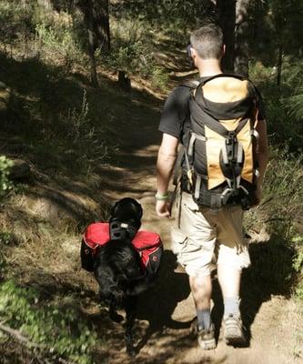 Pant & Wag: DC Dog Adventures and DC Dog Fitness