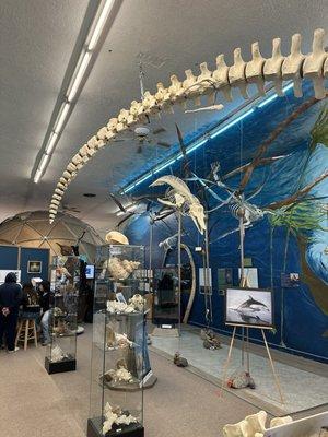 Noyo Center for Marine Science