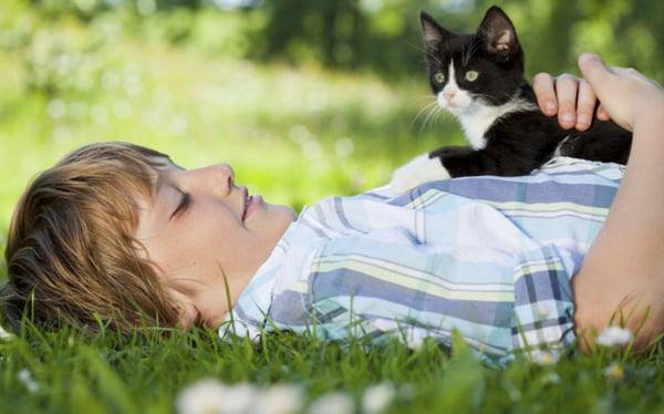 Animal Hospital of Rushville