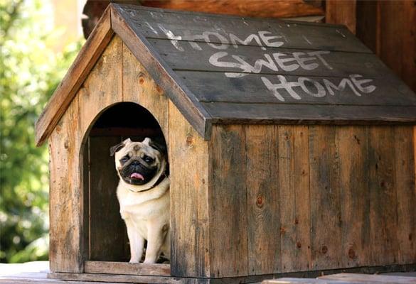 Darkis Carpenter - Choice Realty of Miami