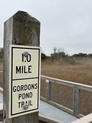 Cape Henlopen State Park
