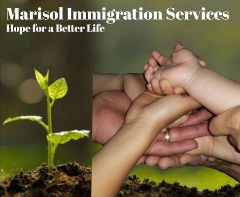 Marisol Immigration Services
Hope for a Better Life!
