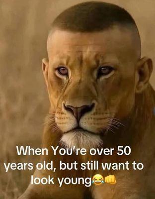 Avara's Academy of Hair Design & Technology