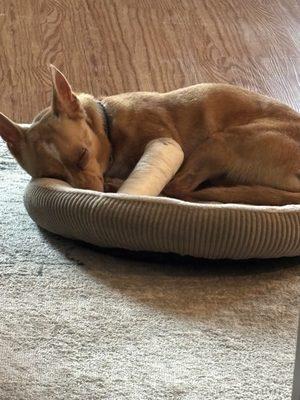 Sommers Veterinary Hospital