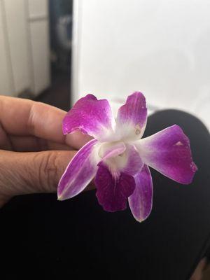 Sun Country Airlines