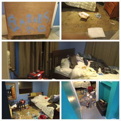 Clearwater Junk Hauling & Property Services