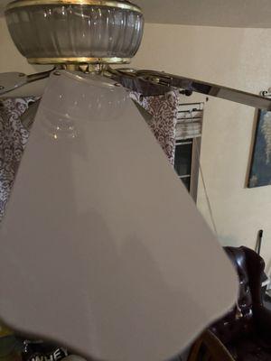 Primas Houskeeping & Office