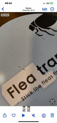 live flea found one day after Stark Flea treatment