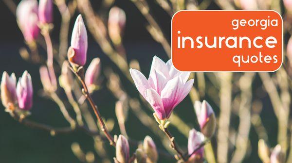 Primeco Insurance offers Small Business options for all Georgia business owners including Workers Compensation, General Liab...