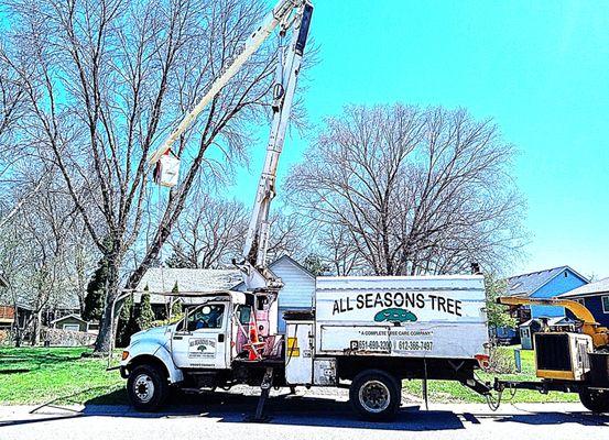 All Seasons Tree Service