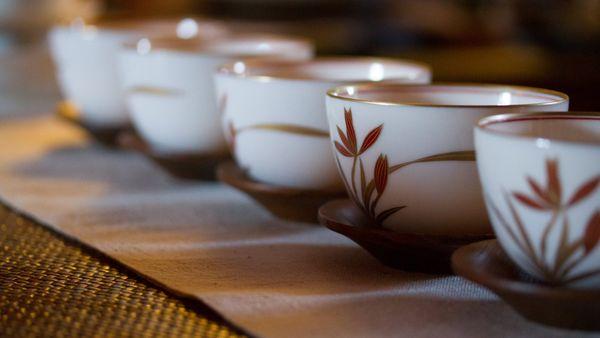 Mother Bosque Gardens