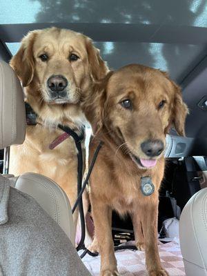 Edna Valley Veterinary C