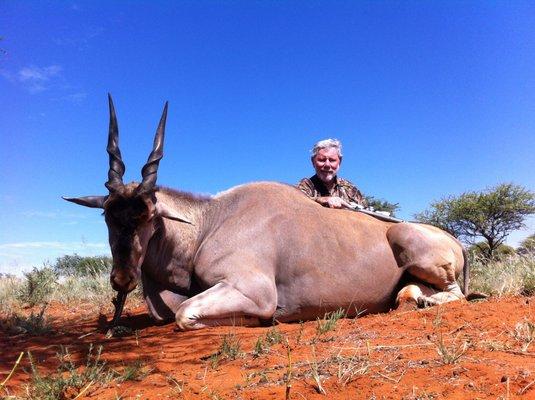 BM Guns and Accessories