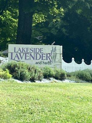 Lakeside Lavender and Herbs