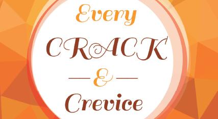 Every Crack & Crevice