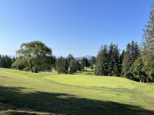 View from the top of a par three.