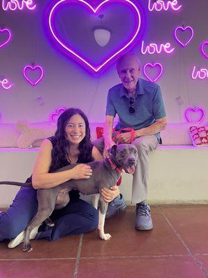 Paws For Life K9 Rescue