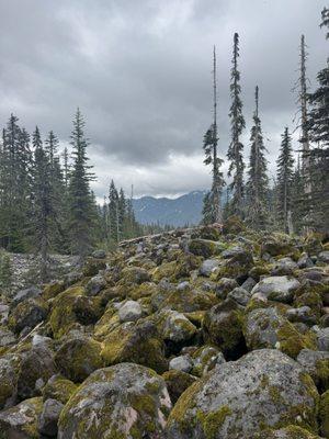 Alpine Ascents International