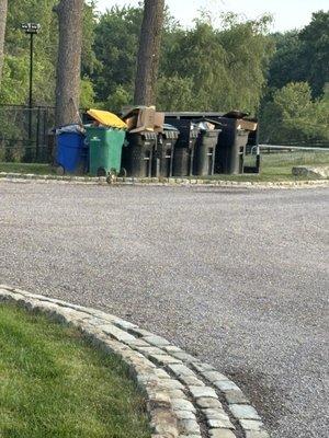 Waste Management - Irwin
