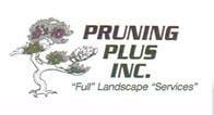 Pruning Plus