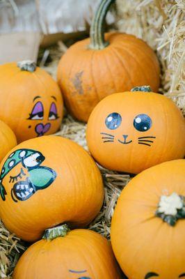 Cute pumpkins