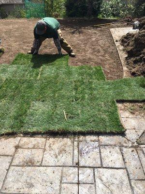 Sod Installation