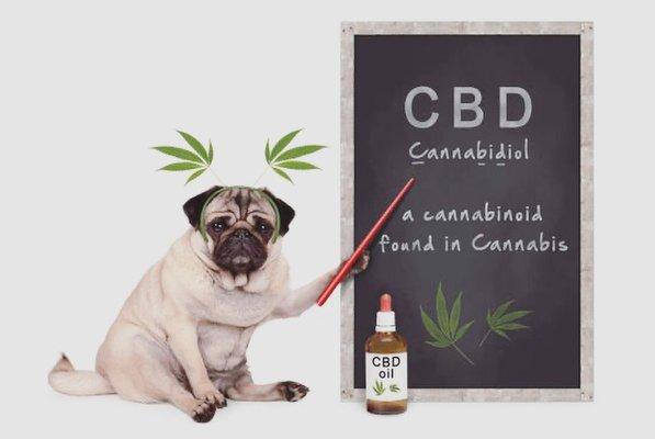 CBD is also great for pets they get the same benefits as we do!!