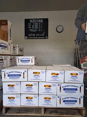 Mandarin Hill Orchards