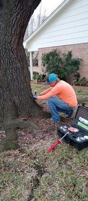 Tree PhD Urban Forestry - Arborist and Tree Service