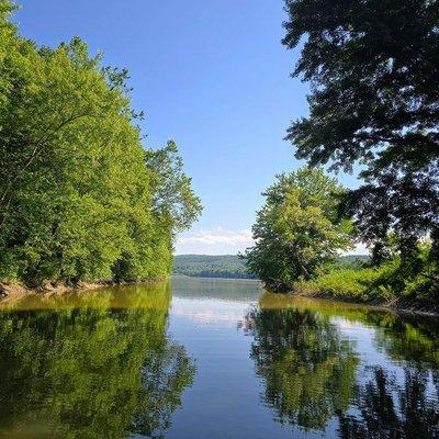 Revive Counseling Associates