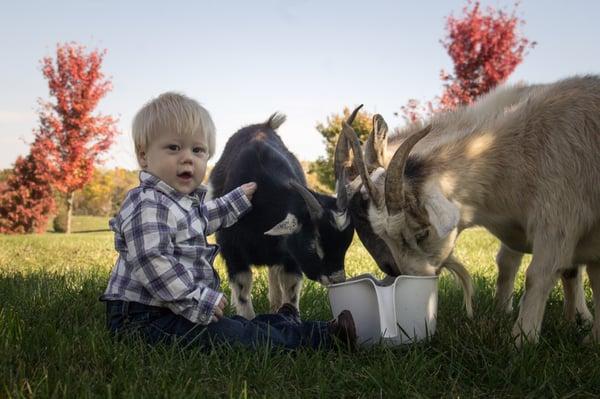Southern Grace Bed & Breakfast