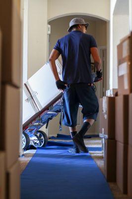 Angel Of Sin City Photography Studio