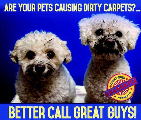 Great Guys Cleaning & Concierge